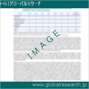 グローバルリサーチ調査レポートのイメージ